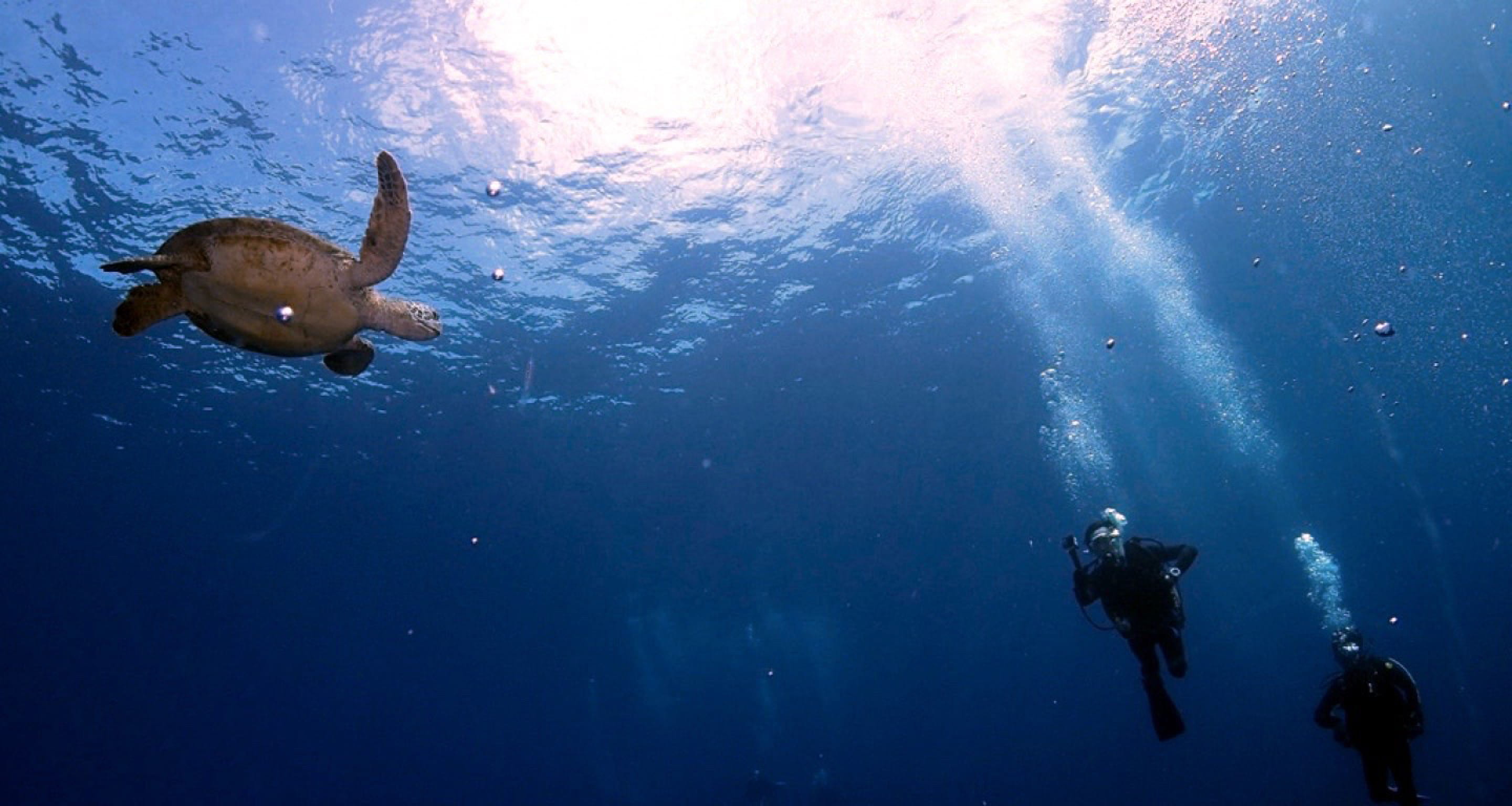 キャンペーンのイメージ画像２