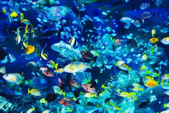 キャンペーン画像１講習