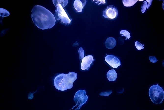 キャンペーン画像３体験