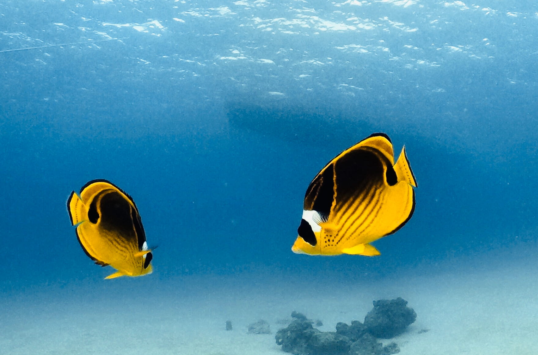 aboutのイメージ右